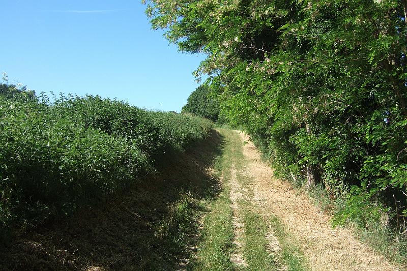 2011-05- (916).JPG - Dann geht es wieder einmal bergan - das kennen wir morgens ja schon ...